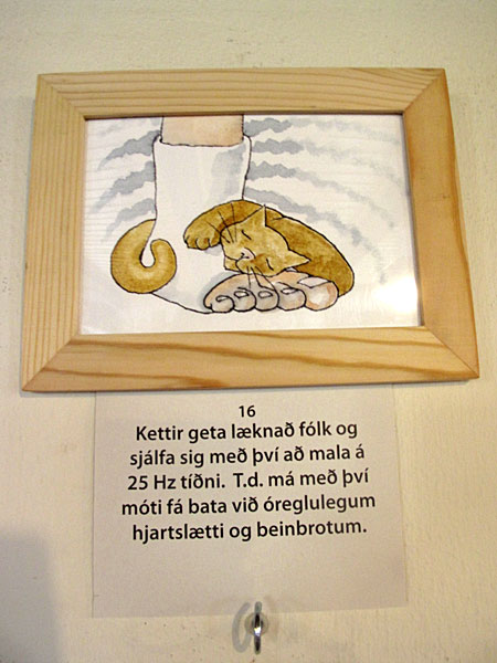 Djúpavík. Exhibition: Ómar Smári Kristinsson and Nína Ivanova - "25". - "It is known that cats can heal themselves and people by purring with the frequency of 25 Hz, for instance broken bones and an irregular heart beat." (18 July 2010)