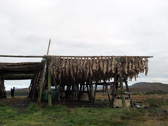 Reykjavík. Fish, Kleifarvatn and more. - For drying fish. II. (25 September 2012)