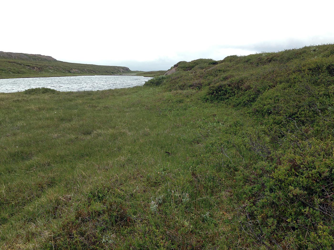 Around Iceland. Day III. Eskifjöður - Borgarfjörður eystri. - Again somewhere between ... But with less summer and sun, but still enjoying it a lot! (4 July 2013)