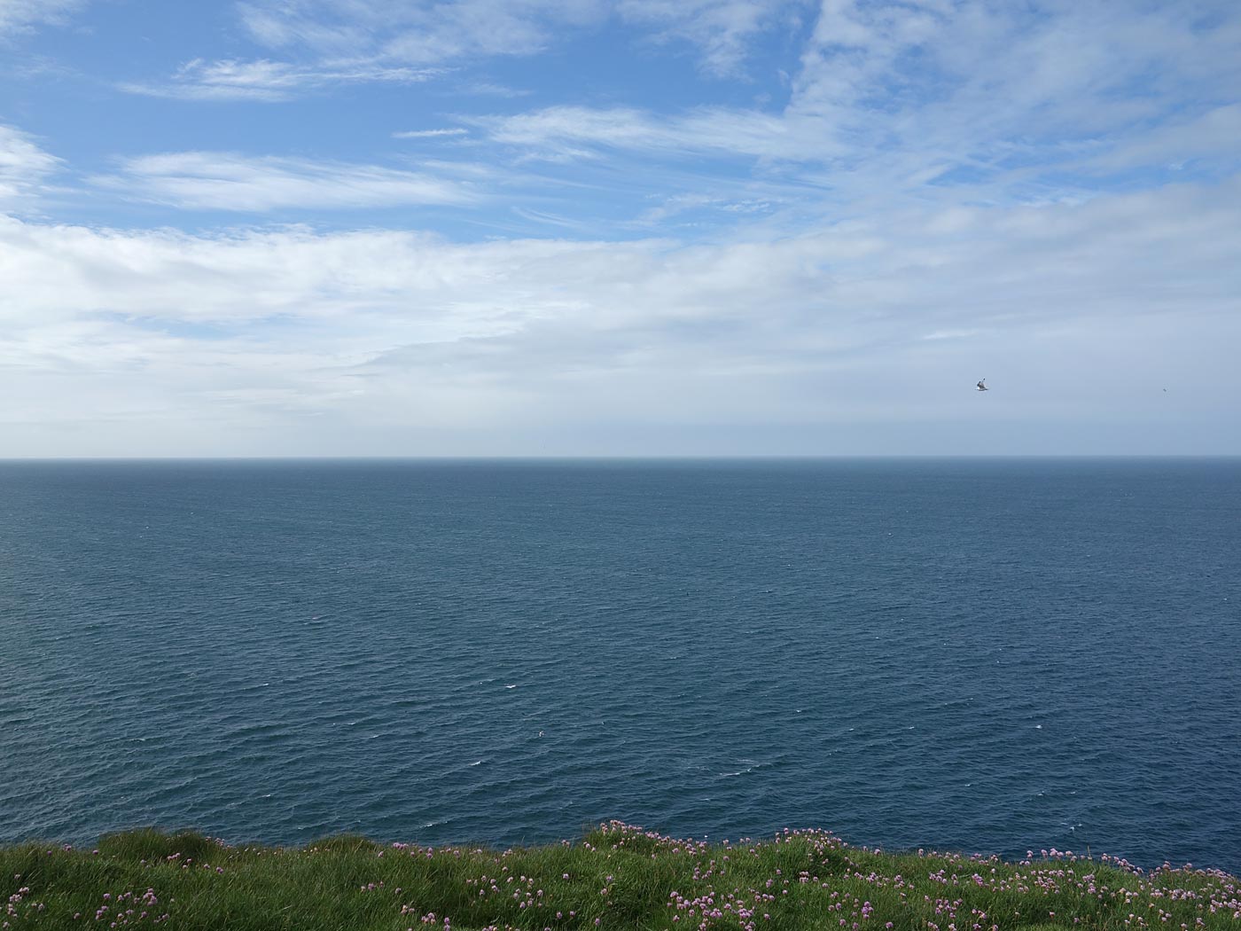 Rund um Island. Tag V. Nur Langanes. - Wandern heute. XII. (06.07.2013)