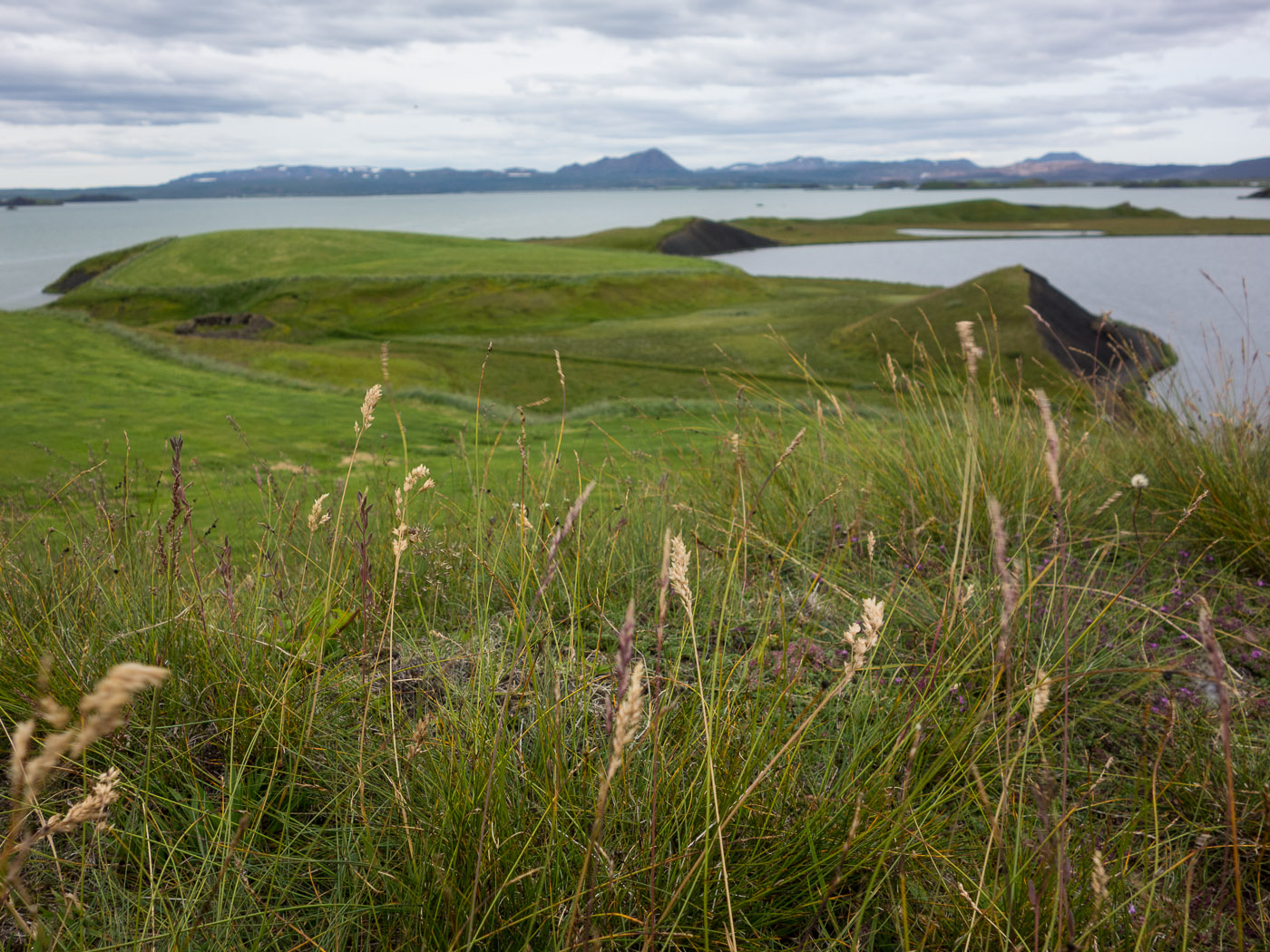 Northern Iceland - Svarfaðardalur - Grímstunga. On vacation. - Skútustaðagígar ... A natural monument because of several pseudo-craters (lake Mývatn). The last picture for today! (23 July 2014)