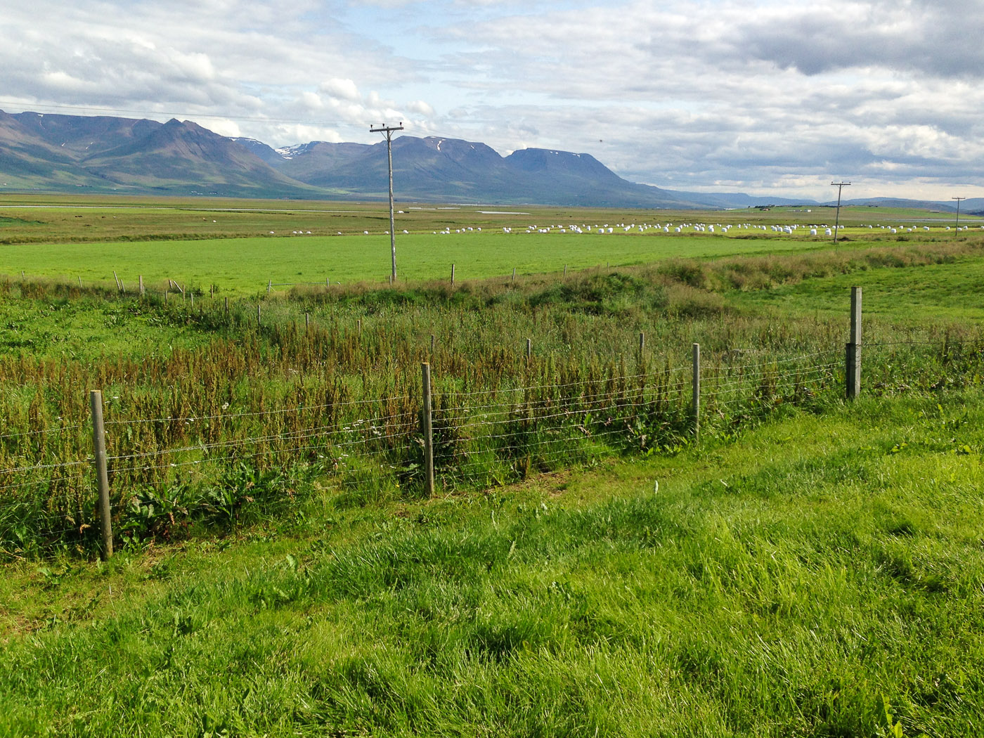 Northern Iceland - Back to Reykjavík. On vacation. - Beside the turf farmhouse <a href='http://www.glaumbaer.is/is/information/glaumbaer-farm' target='_blank' class='linksnormal'>Gláumbær farm</a>. VI. (27 July 2014)