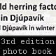 3rd edition of photo book - Subject 1 - The old herring factory in Djúpavík - and Djúpavík in winter!